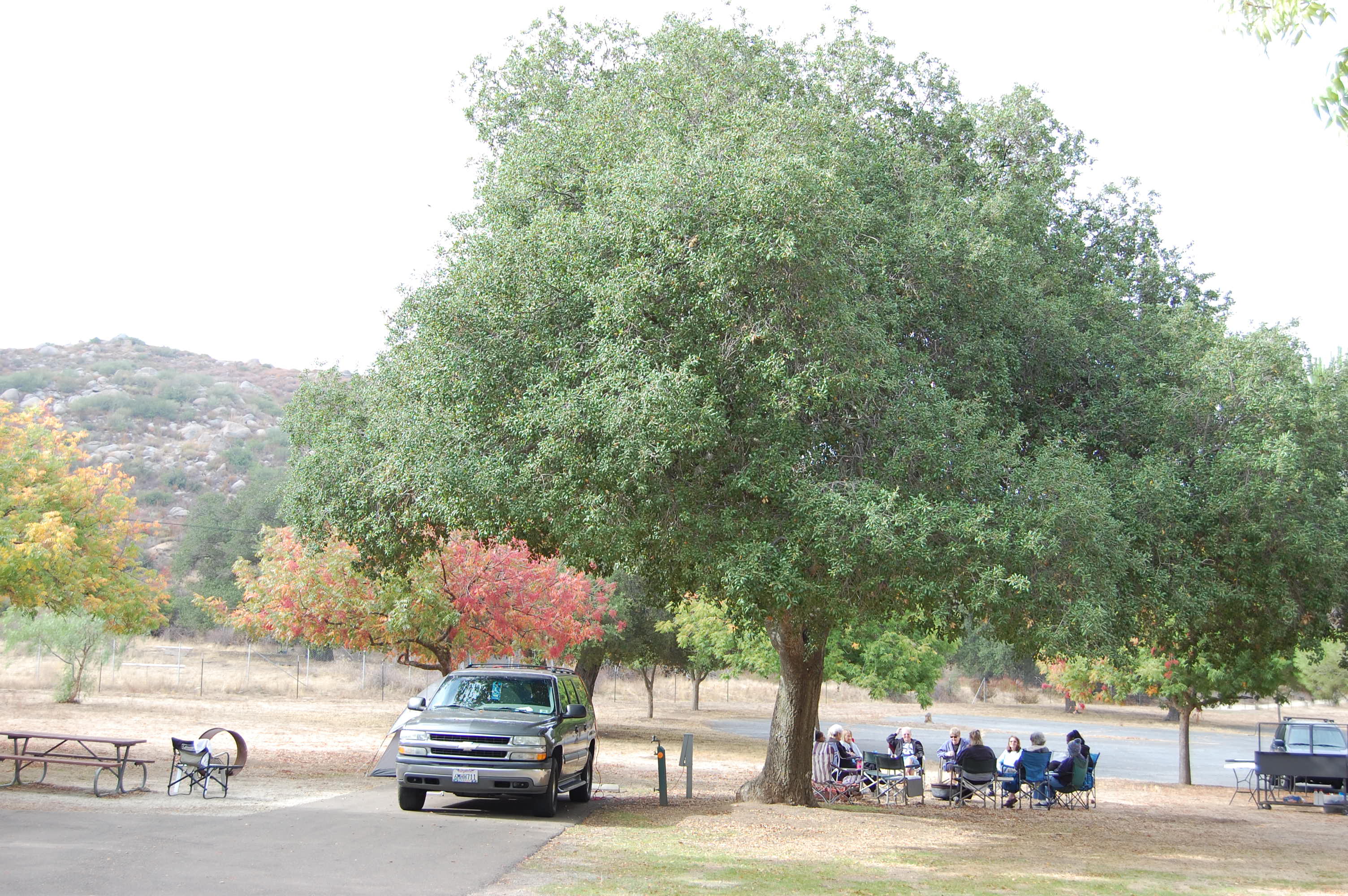 photo of our group at a campsite in Potrero